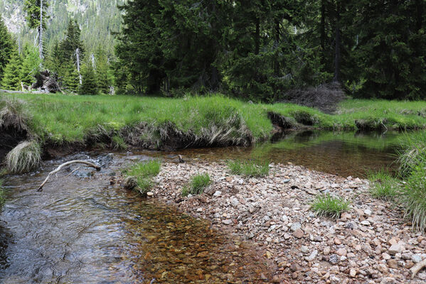 Labský důl - meandry Labe.
Klíčová slova: Krkonoše Špindlerův Mlýn Labský důl