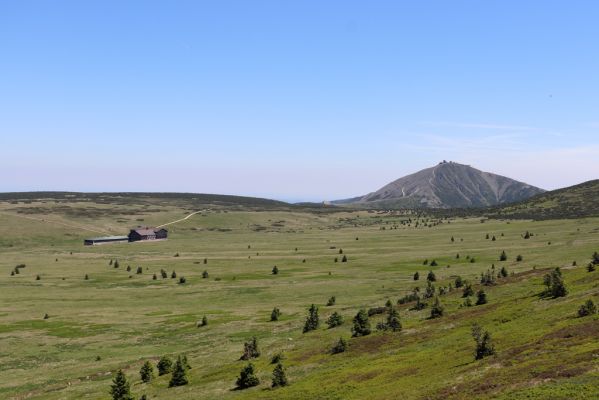 Špindlerův Mlýn, 24.6.2019
Krkonoše, pohled od Luční hory na Sněžku.
Klíčová slova: Špindlerův Mlýn Krkonoše Luční hora bouda Sněžka