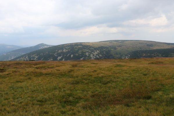 Špindlerův Mlýn, 12.8.2020
Severní svah Luční hory. Pohled na Čertovo návrší.
Klíčová slova: Špindlerův Mlýn Krkonoše Luční hora Čertovo návrší Malý Šišák