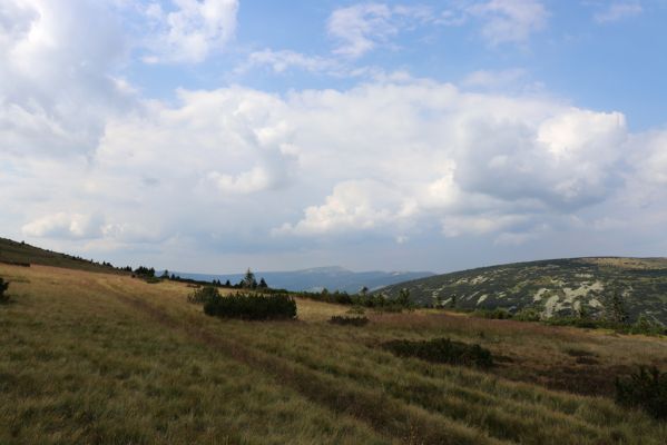 Špindlerův Mlýn, 12.8.2020
Pohled z Bílé louky na Vysoké kolo.
Mots-clés: Špindlerův Mlýn Krkonoše Bílá louka Vysoké kolo