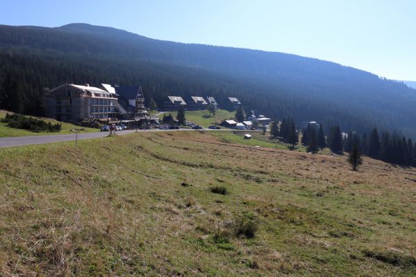 Špindlerův Mlýn, 16.9.2020
Krkonoše, Slezské sedlo. Pastvina pod Erlenbachovou boudou.
Mots-clés: Špindlerův Mlýn Krkonoše Slezské sedlo Erlenbachova bouda pastvina