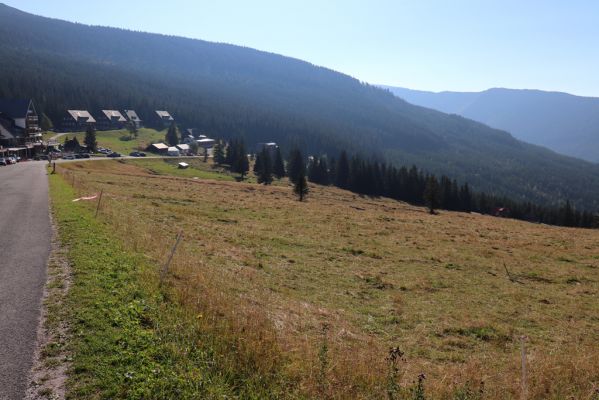 Špindlerův Mlýn, 16.9.2020
Krkonoše, Slezské sedlo. Pastvina pod Erlenbachovou boudou.
Klíčová slova: Špindlerův Mlýn Krkonoše Slezské sedlo Erlenbachova bouda pastvina