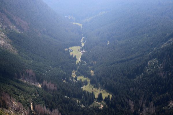 Pec pod Sněžkou, 16.9.2020
Krkonoše, Sněžka. Pohled na Obří důl.
Klíčová slova: Pec pod Sněžkou Krkonoše Sněžka Obří důl