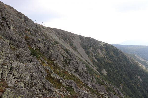 Pec pod Sněžkou, 16.9.2020
Krkonoše, Sněžka, jižní hřbet.
Klíčová slova: Pec pod Sněžkou Krkonoše Sněžka
