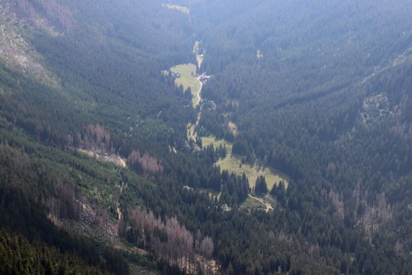 Pec pod Sněžkou, 16.9.2020
Krkonoše, Sněžka. Pohled do Obřího dolu.
Klíčová slova: Pec pod Sněžkou Krkonoše Sněžka Obří důl