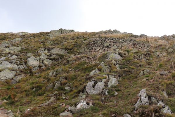 Pec pod Sněžkou, 16.9.2020
Krkonoše, Sněžka, západní hřbet.
Klíčová slova: Pec pod Sněžkou Krkonoše Sněžka