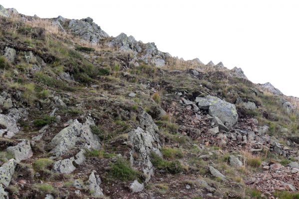 Pec pod Sněžkou, 16.9.2020
Krkonoše, Sněžka, západní hřbet. 
Klíčová slova: Pec pod Sněžkou Krkonoše Sněžka