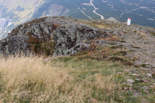 Pec pod Sněžkou, 16.9.2020
Krkonoše, Sněžka, západní hřbet.
Klíčová slova: Pec pod Sněžkou Krkonoše Sněžka