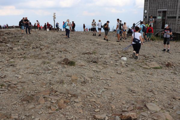 Pec pod Sněžkou, 16.9.2020
Krkonoše, vrchol Sněžky.
Klíčová slova: Pec pod Sněžkou Krkonoše Sněžka vrchol Selatosomus confluens