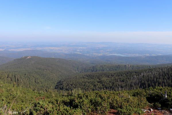 Podgórzyn, 16.9.2020
Krkonoše, Malý Šišák, cesta česko-polského přátelství. Pohled do Polska.
Klíčová slova: Podgórzyn Krkonoše Malý Šišák cesta česko-polského přátelství