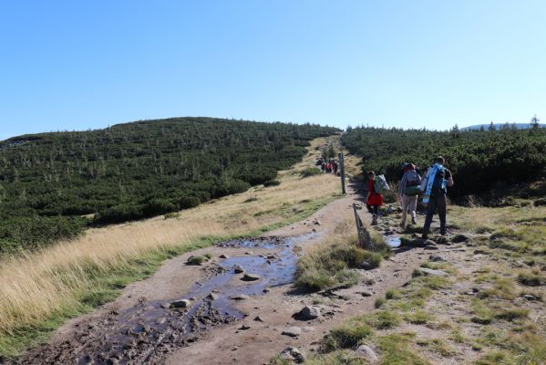 Podgórzyn, 16.9.2020
Krkonoše, Malý Šišák, cesta česko-polského přátelství.
Mots-clés: Podgórzyn Krkonoše Malý Šišák cesta česko-polského přátelství