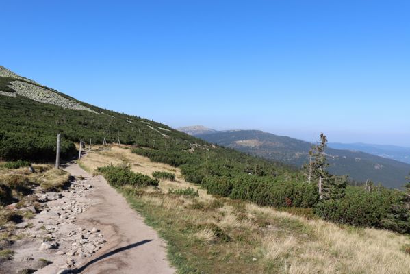 Podgórzyn, 16.9.2020
Krkonoše, Malý Šišák, cesta česko-polského přátelství. Pohled na Vysoké kolo.
Schlüsselwörter: Podgórzyn Malý Šišák cesta česko-polského přátelství Vysoké kolo