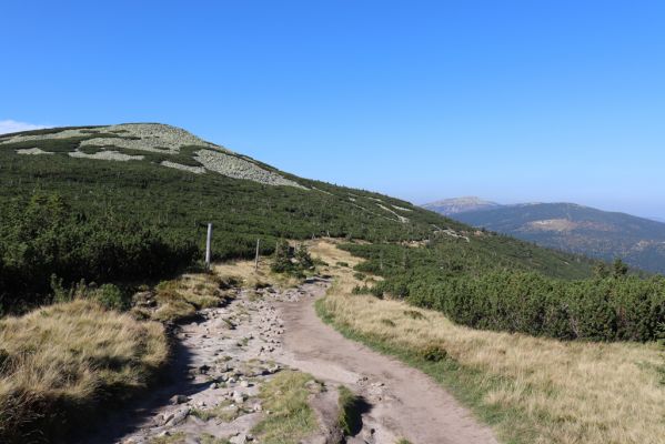 Podgórzyn, 16.9.2020
Krkonoše, Malý Šišák, cesta česko-polského přátelství. Pohled na Vysoké kolo.
Keywords: Podgórzyn Malý Šišák cesta česko-polského přátelství Vysoké kolo