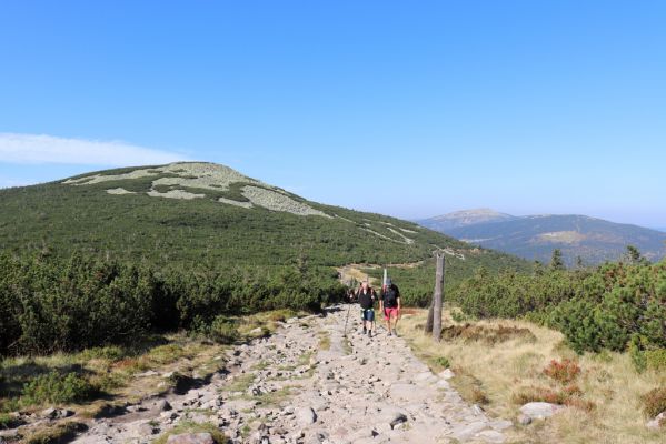 Podgórzyn, 16.9.2020
Krkonoše, Malý Šišák, cesta česko-polského přátelství. Pohled na Vysoké kolo.
Schlüsselwörter: Podgórzyn Malý Šišák cesta česko-polského přátelství Vysoké kolo