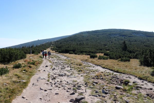 Podgórzyn, 16.9.2020
Krkonoše, Stříbrný hřbet, cesta česko-polského přátelství. 
Klíčová slova: Podgórzyn Stříbrný hřbet cesta česko-polského přátelství