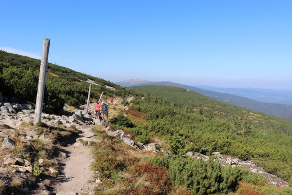 Podgórzyn, 16.9.2020
Krkonoše, Stříbrný hřbet, cesta česko-polského přátelství. Pohled na Vysoké kolo.
Schlüsselwörter: Podgórzyn Stříbrný hřbet cesta česko-polského přátelství Vysoké kolo