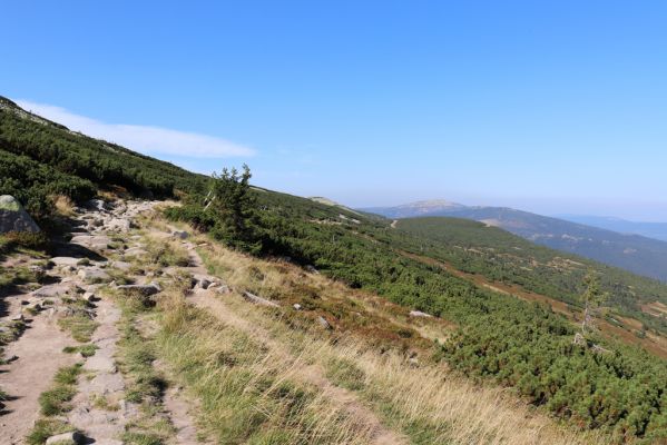 Podgórzyn, 16.9.2020
Krkonoše, Stříbrný hřbet, cesta česko-polského přátelství. Pohled na Vysoké kolo.
Keywords: Podgórzyn Stříbrný hřbet cesta česko-polského přátelství Vysoké kolo