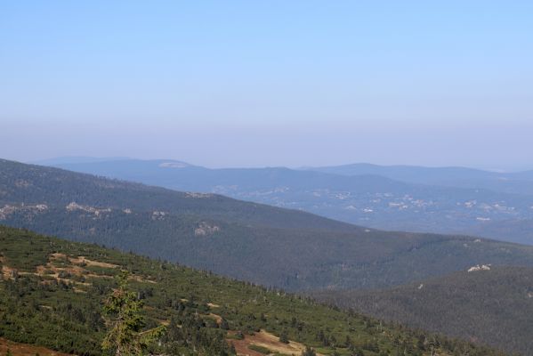 Karpacz, 16.9.2020
Krkonoše, Polední kameny - Slonecznik. Pohled na Chojnik - jedinou známou krkonošskou lokalitu hnojníka Chilothorax paykulli. 
Klíčová slova: Karpacz Krkonoše Polední kameny Slonecznik Chojnik