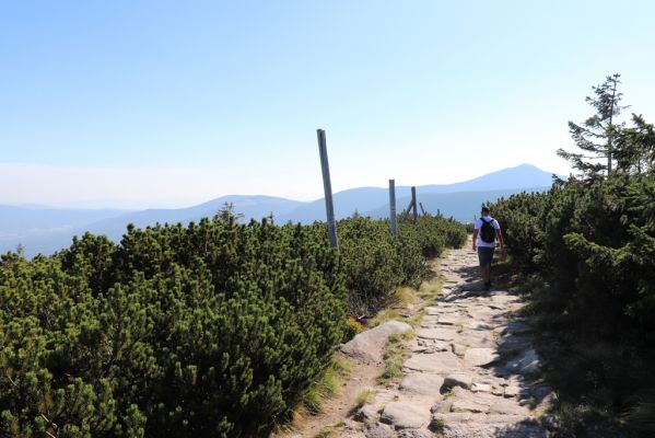 Karpacz, 16.9.2020
Krkonoše, Polední kameny - Slonecznik. Pohled na Sněžku.
Keywords: Karpacz Krkonoše Polední kameny Slonecznik Sněžka