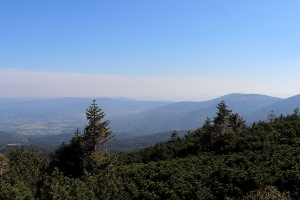 Karpacz, 16.9.2020
Krkonoše, Polední kameny - Slonecznik. Pohled na východ na Tabulovou.
Schlüsselwörter: Karpacz Krkonoše Polední kameny Slonecznik Tabulová