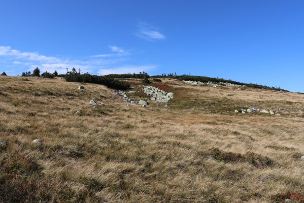 Karpacz, 16.9.2020
Krkonoše, Stříbrný hřeben. Pohled Stříbrný hřbet.
Klíčová slova: Karpacz Krkonoše Stříbrný hřeben Stříbrný hřbet