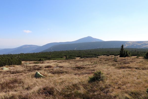 Karpacz, 16.9.2020
Krkonoše, Stříbrný hřeben. Pohled Sněžku.
Schlüsselwörter: Karpacz Krkonoše Stříbrné návrší Sněžka