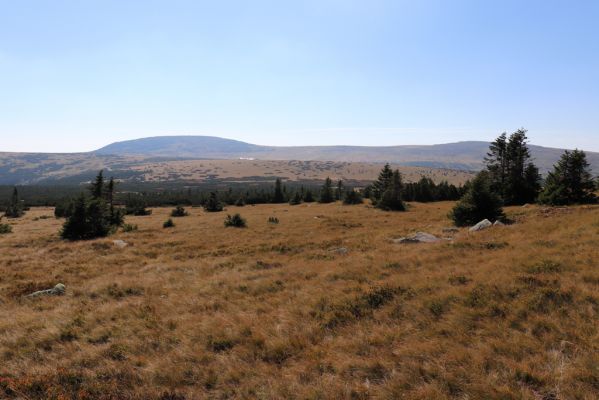 Karpacz, 16.9.2020
Krkonoše, Stříbrný hřeben. Pohled Studniční horu.
Schlüsselwörter: Karpacz Krkonoše Stříbrný hřeben Studniční hora