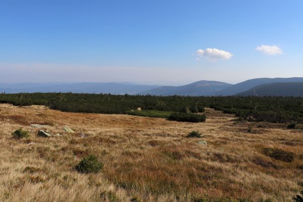 Karpacz, 16.9.2020
Krkonoše, Stříbrný hřeben. Pohled na Svorovou horu a Tabuli.
Mots-clés: Karpacz Krkonoše Stříbrný hřeben Svorová hora