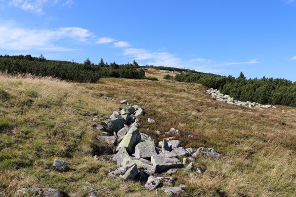 Karpacz, 16.9.2020
Krkonoše, Stříbrný hřeben. Pohled Stříbrný hřbet.
Mots-clés: Karpacz Krkonoše Stříbrné návrší Stříbrný hřeben