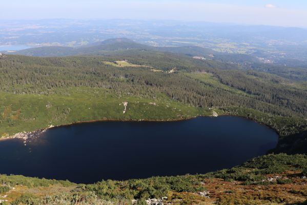 Karpacz, 16.9.2020
Krkonoše, Stříbrný hřeben. Pohled Wielki Staw.
Keywords: Karpacz Krkonoše Stříbrný hřeben Wielki Staw