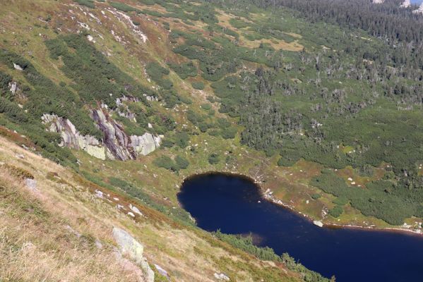 Karpacz, 16.9.2020
Krkonoše, Stříbrný hřeben. Pohled Wielki Staw.
Keywords: Karpacz Krkonoše Stříbrný hřeben Wielki Staw