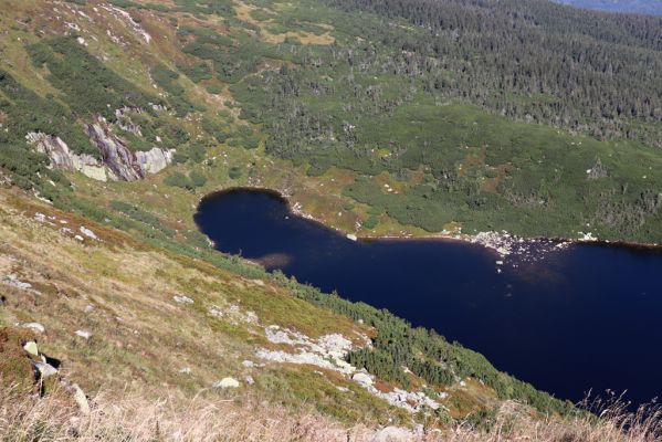 Karpacz, 16.9.2020
Krkonoše, Stříbrný hřeben. Pohled Wielki Staw.
Klíčová slova: Karpacz Krkonoše Stříbrný hřeben Wielki Staw