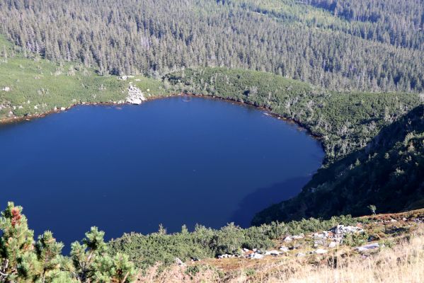 Karpacz, 16.9.2020
Krkonoše, Stříbrný hřeben. Pohled Wielki Staw.
Keywords: Karpacz Krkonoše Stříbrný hřeben Wielki Staw