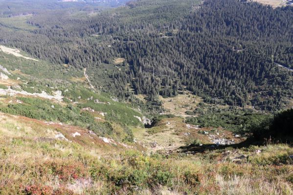 Karpacz, 16.9.2020
Krkonoše, Kopa nad Morena, údolí Lomnice.
Schlüsselwörter: Karpacz Krkonoše Kopa nad Morena Maly Staw údolí Lomnice