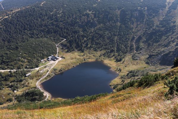 Karpacz, 16.9.2020
Krkonoše, Kopa nad Morena, Maly Staw.
Schlüsselwörter: Karpacz Krkonoše Kopa nad Morena Maly Staw