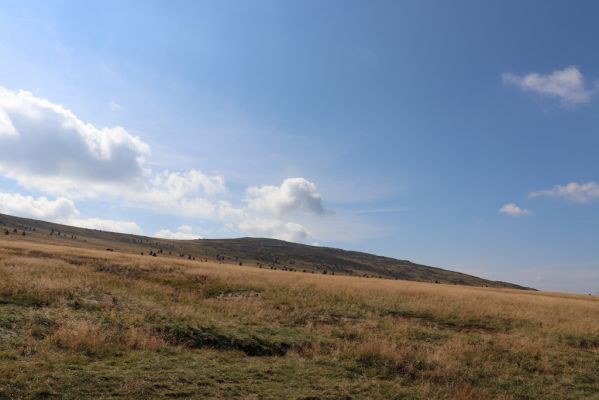 Pec pod Sněžkou, 16.9.2020
Krkonoše, Luční bouda. Pohled na Luční horu.
Klíčová slova: Pec pod Sněžkou Krkonoše Luční bouda Luční hora