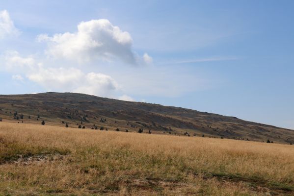 Pec pod Sněžkou, 16.9.2020
Krkonoše, Luční bouda. Pohled na Luční horu.
Klíčová slova: Pec pod Sněžkou Krkonoše Luční bouda Luční hora