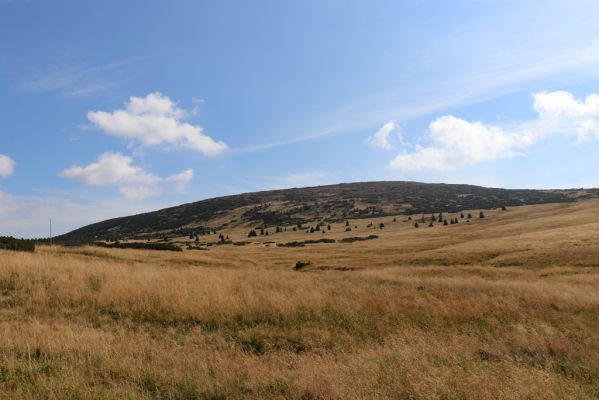 Pec pod Sněžkou, 16.9.2020
Krkonoše, Úpské rašeliniště. Pohled na Studniční horu.
Klíčová slova: Pec pod Sněžkou Krkonoše Úpské rašeliniště Studniční hora