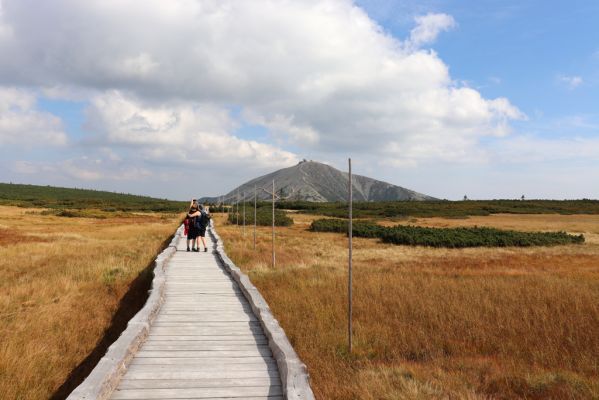 Pec pod Sněžkou, 16.9.2020
Krkonoše, Úpské rašeliniště. Pohled na Sněžku.
Klíčová slova: Pec pod Sněžkou Krkonoše Úpské rašeliniště Sněžka