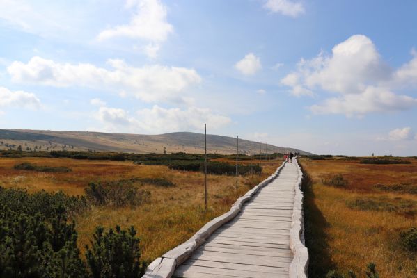 Pec pod Sněžkou, 16.9.2020
Krkonoše, Úpské rašeliniště. Pohled na Studniční horu.
Schlüsselwörter: Pec pod Sněžkou Krkonoše Úpské rašeliniště Luční hora