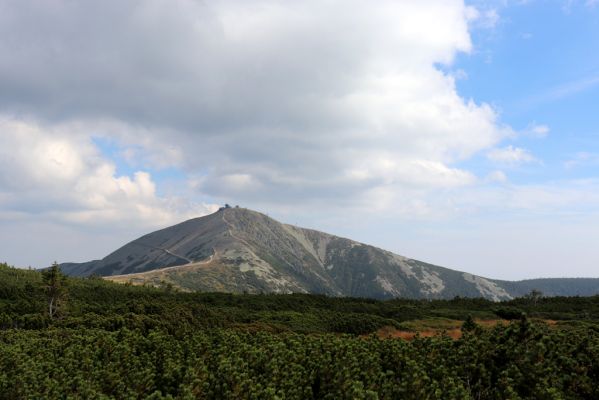 Pec pod Sněžkou, 16.9.2020
Krkonoše, prameny Úpy. Pohled na Sněžku.
Klíčová slova: Pec pod Sněžkou Krkonoše Sněžka prameny Úpy