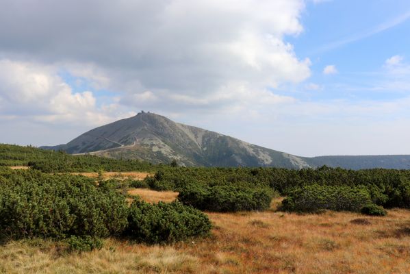 Pec pod Sněžkou, 16.9.2020
Krkonoše, prameny Úpy. Pohled na Sněžku.
Klíčová slova: Pec pod Sněžkou Krkonoše Sněžka prameny Úpy