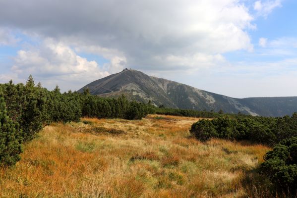 Pec pod Sněžkou, 16.9.2020
Krkonoše, prameny Úpy. Pohled na Sněžku.
Klíčová slova: Pec pod Sněžkou Krkonoše Sněžka prameny Úpy