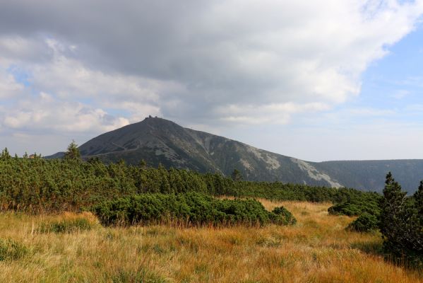 Pec pod Sněžkou, 16.9.2020
Krkonoše, prameny Úpy. Pohled na Sněžku.
Klíčová slova: Pec pod Sněžkou Krkonoše Sněžka prameny Úpy