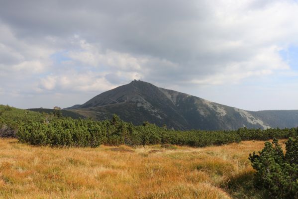 Pec pod Sněžkou, 16.9.2020
Krkonoše, prameny Úpy. Pohled na Sněžku.
Klíčová slova: Pec pod Sněžkou Krkonoše Sněžka prameny Úpy