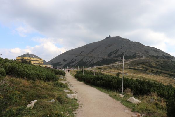 Pec pod Sněžkou, 16.9.2020
Krkonoše, Obří sedlo a Sněžka.
Klíčová slova: Pec pod Sněžkou Krkonoše Sněžka Obří sedlo