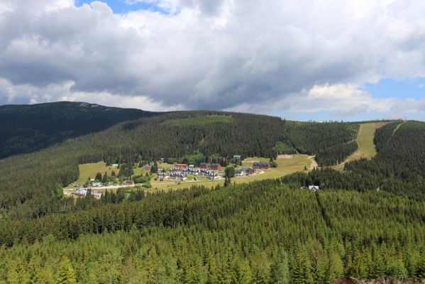 Špindlerův Mlýn, 25.7.2020
Vrch Mechovinec. Pohled na Horní Mísečky a Medvědín.
Klíčová slova: Špindlerův Mlýn vrch Mechovinec Horní Mísečky Medvědín