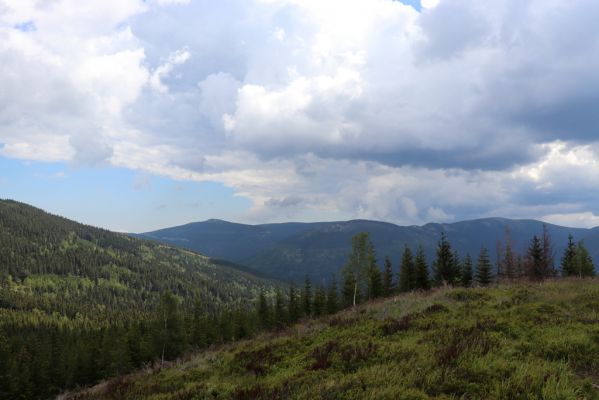 Špindlerův Mlýn, 25.7.2020
Vrch Mechovinec. Pohled na Kozí hřbety a Malý Šišák.
Klíčová slova: Špindlerův Mlýn vrch Mechovinec Kozí hřbety Malý Šišák
