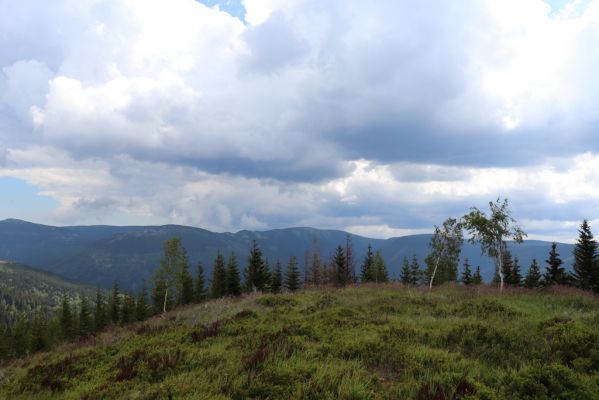 Špindlerův Mlýn, 25.7.2020
Vrch Mechovinec. Pohled na Kozí hřbety a Luční horu.
Klíčová slova: Špindlerův Mlýn vrch Mechovinec Kozí hřbety Luční hora