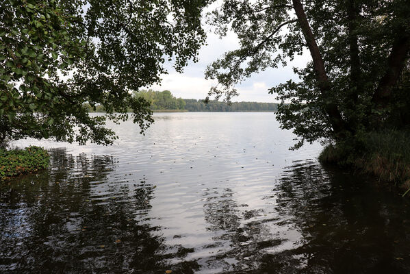 Srch, 26.9.2022
Pohránov, Pohránovský rybník.
Klíčová slova: Srch Pohránov Pohránovský rybník